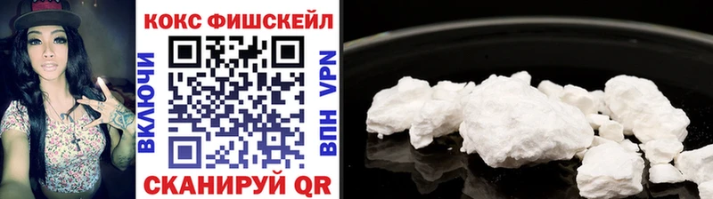 Cocaine Fish Scale  Купить  Новая Усмань 