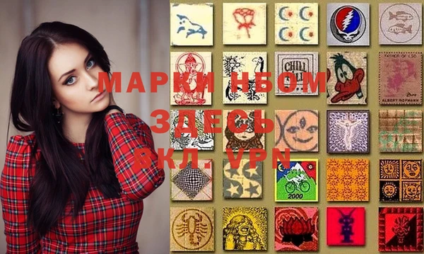 гашик Майский