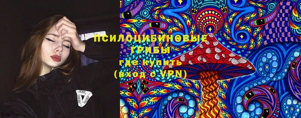 дживик Медногорск