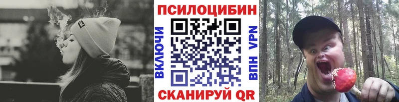 Купить закладки  Новая Усмань  Псилоцибиновые грибы мухоморы 